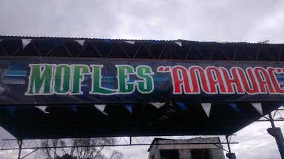 Negocio Mofles Anáhuac