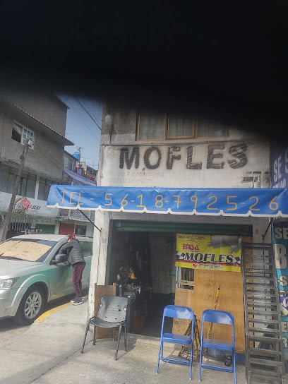 Mofles Judit