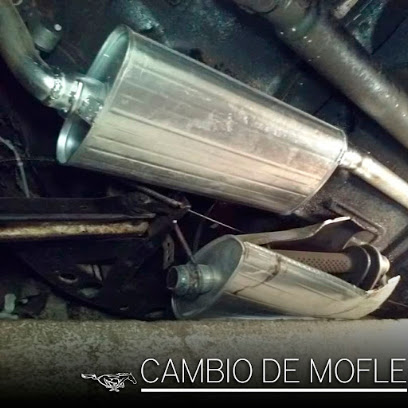 Negocio Mofles Mustang - Kennedy
