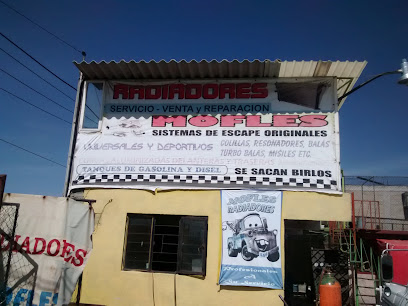 Negocio Mofles Radiadores Sag