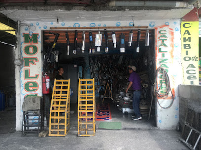 Negocio Mofles Y Catalizadores
