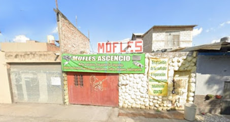 Mofles Y Radiadores Ascencio