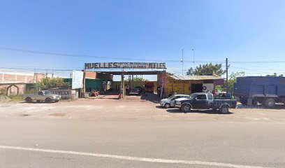 Negocio Muelles Mofles