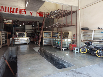 Radiadores Y Mofles Aveg
