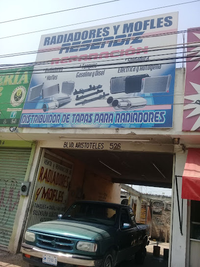Negocio Radiadores Y Mofles Resendiz