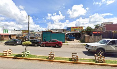 Negocio Servicio Ag Mofles
